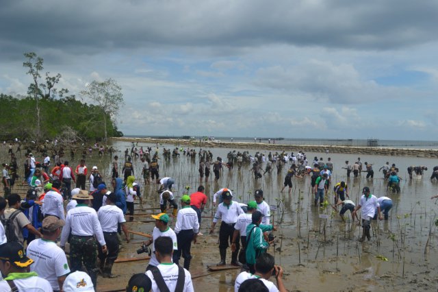 penanaman_ sejuta_ mangrove